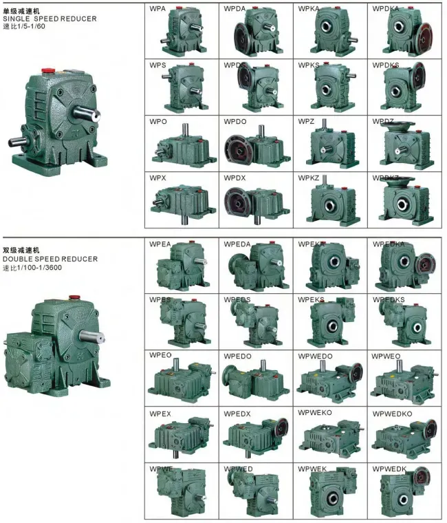 WPDA Worm Gear Reducer — Australian Industrial Applications WPDA worm gear reducer installed on Australian packaging and conveyor machinery