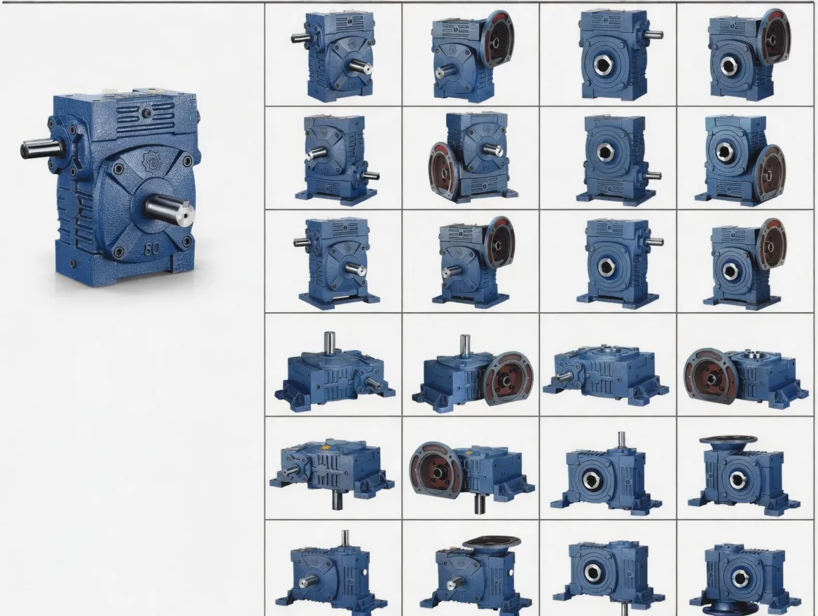 DKS Series (WPDKS) worm gear reducer-3