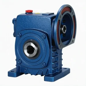 DKS Series (WPDKS) worm gear reducer