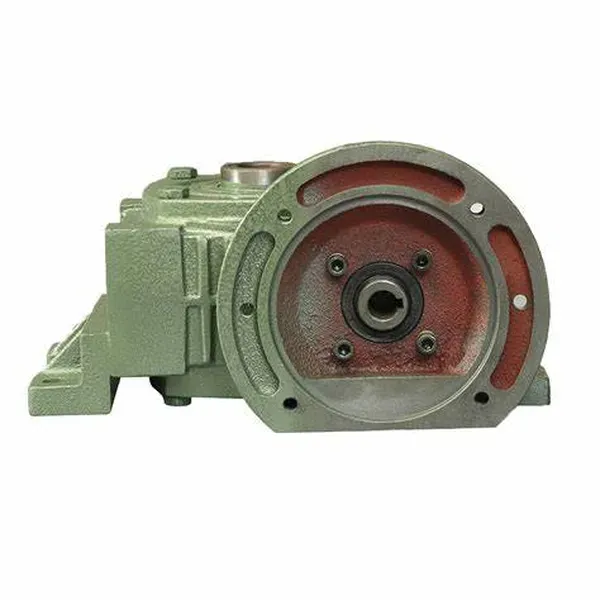 WPDX/WPDO Worm Reducer — Twin-Roll Conveyor Application WPDX WPDO worm gear reducer application in twin-roll conveyor and packaging line