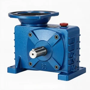 DZ Series worm gear reducer