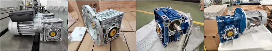 NMRV-VS Worm Gearbox Complete Assembly NMRV-VS dual input worm gearbox — complete assembly