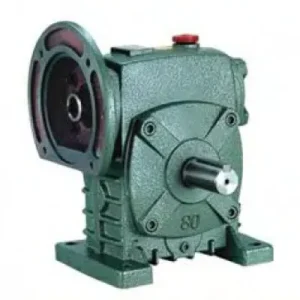 WPDS Series Worm Gear Reducer_ Dual-Access Hollow Bore Motor Drive_0204_01