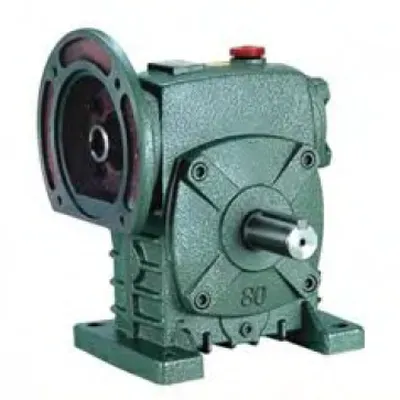 WPDS Series Worm Gear Reducer_ Dual-Access Hollow Bore Motor Drive_0204_01