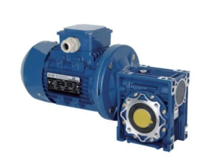 Ever-Power helical-worm gearbox on drum filter in Australian aquaculture